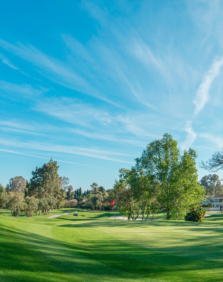 Propiedades cerca de Golf